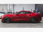 Thumbnail Photo 8 for 2018 Ford Mustang Shelby GT350